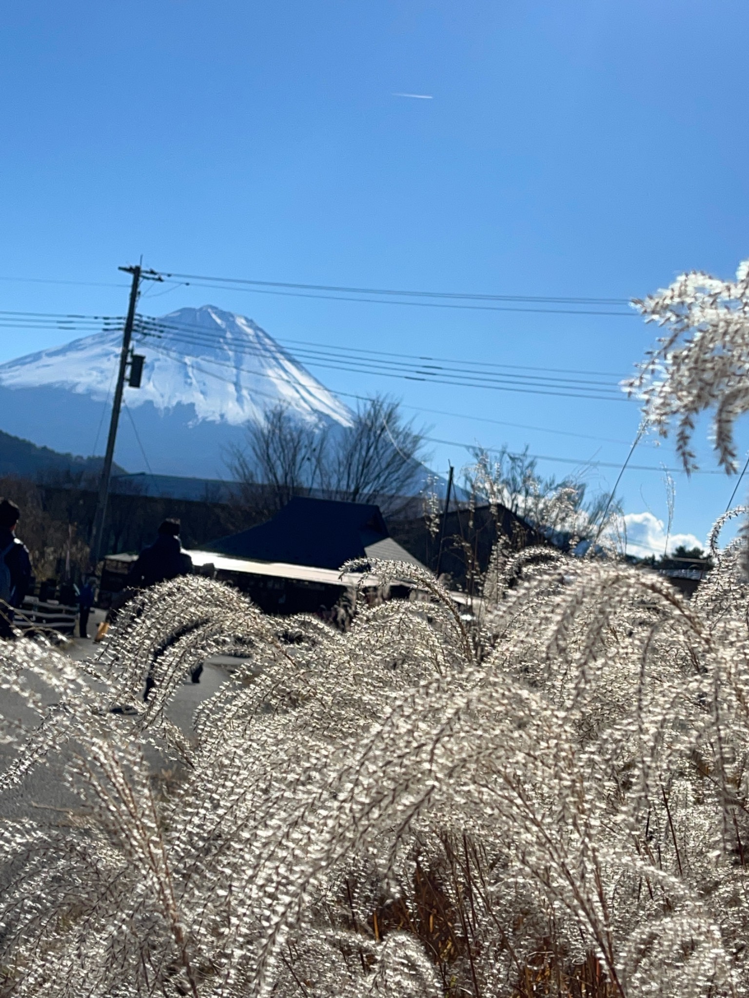Mt fuji