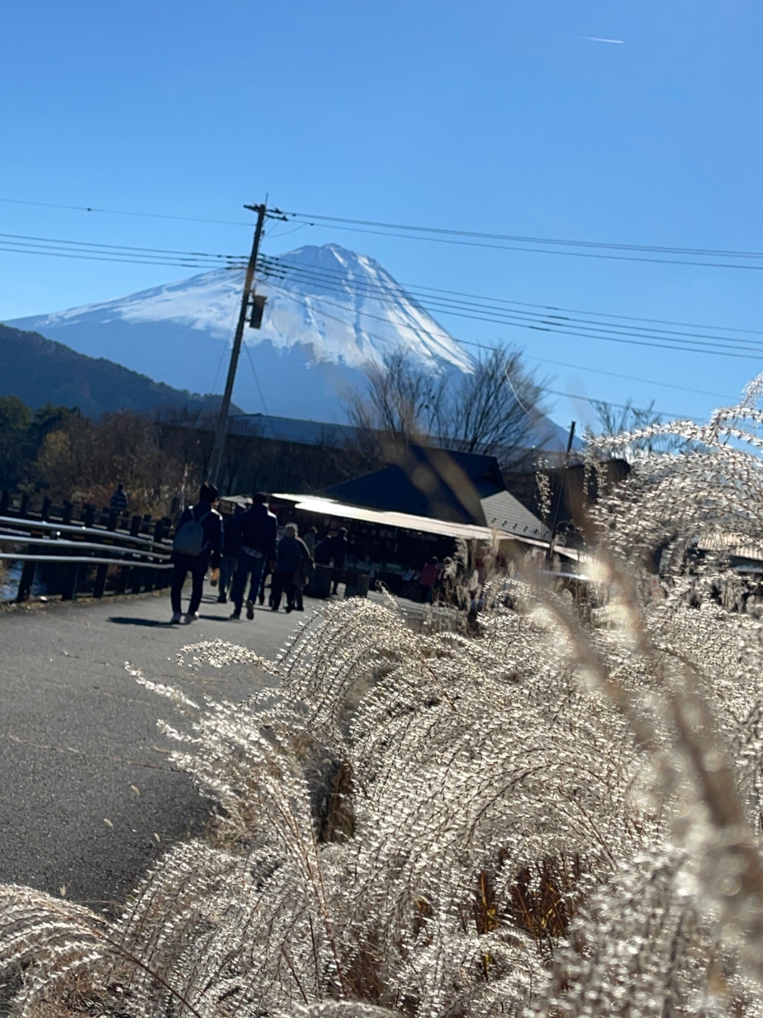 Mt fuji