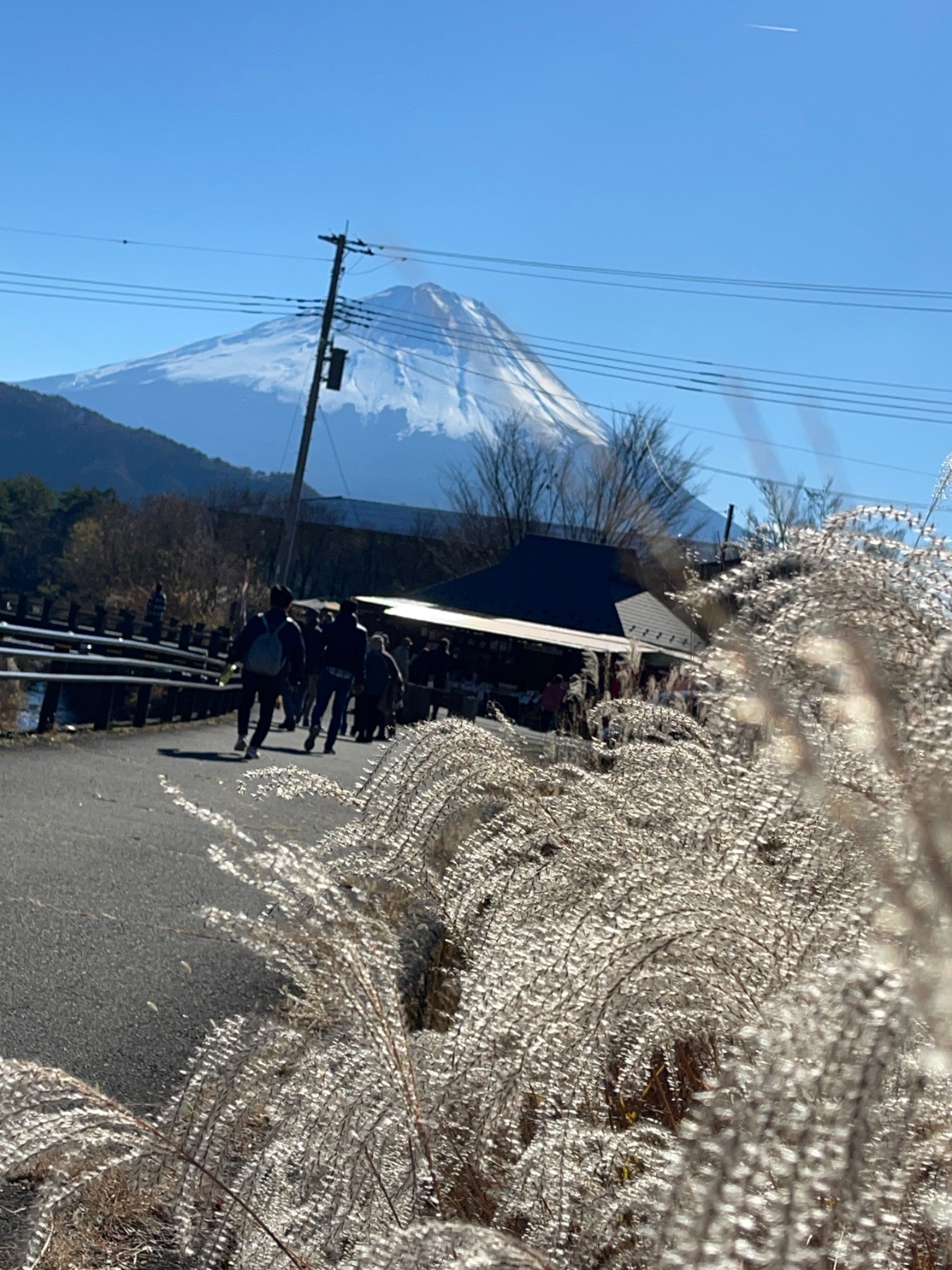 Mt fuji