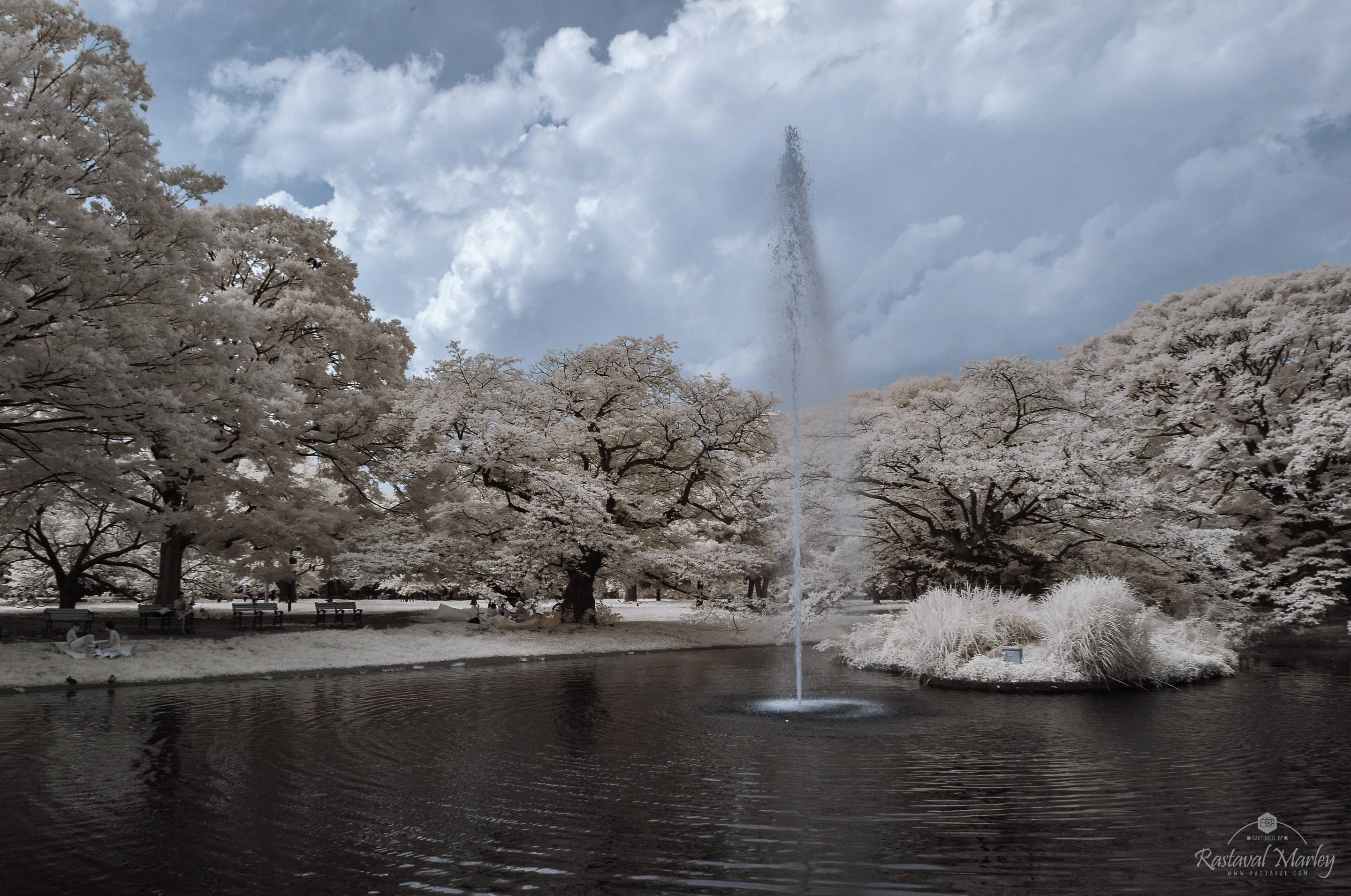 16427695 10154949281529054 6682471265792836259 n